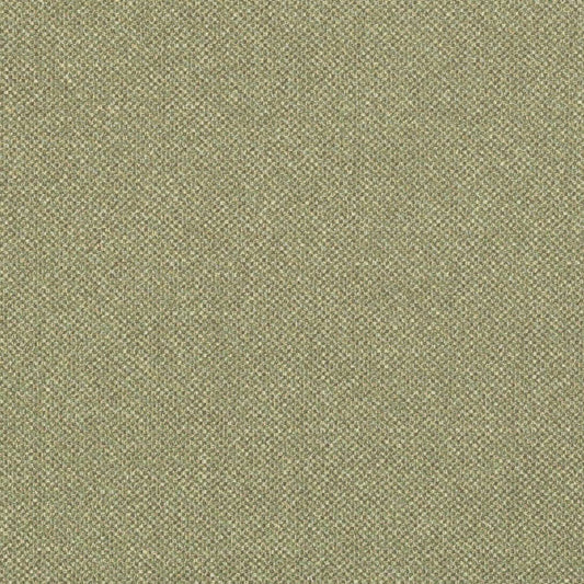 D3244 Plain & Solid Green Charlotte Fabrics Tweed & Textures