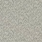D3258 Leaves,Small Scale Grey & Silver Charlotte Fabrics Woven Patterns