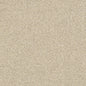 D3272 Plain & Solid Beige Cobble Beige & Taupe Charlotte Fabrics
