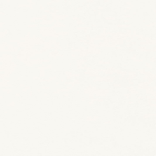D3362 Plain & Solid,Twill Daisy White & Ivory Charlotte Fabrics