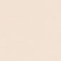 D3363 Plain & Solid,Twill Ivory White & Ivory Charlotte Fabrics