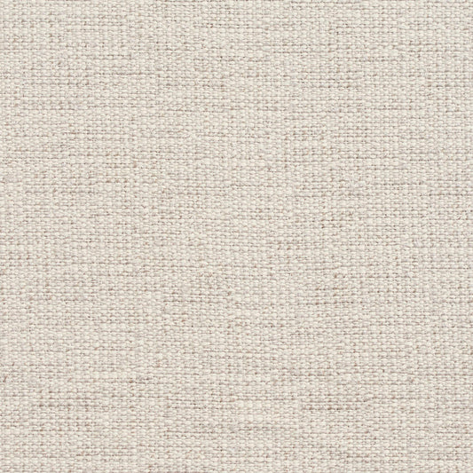 D336 Plain & Solid Moonstone Grey & Silver Charlotte Fabrics
