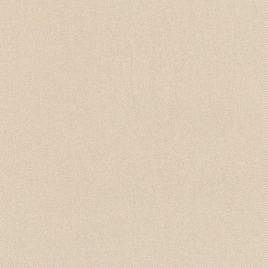 D3376 Plain & Solid,Twill Flax Grey & Silver Charlotte Fabrics