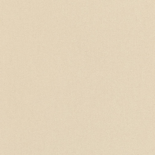 D3378 Plain & Solid,Twill Fawn Beige & Taupe Charlotte Fabrics