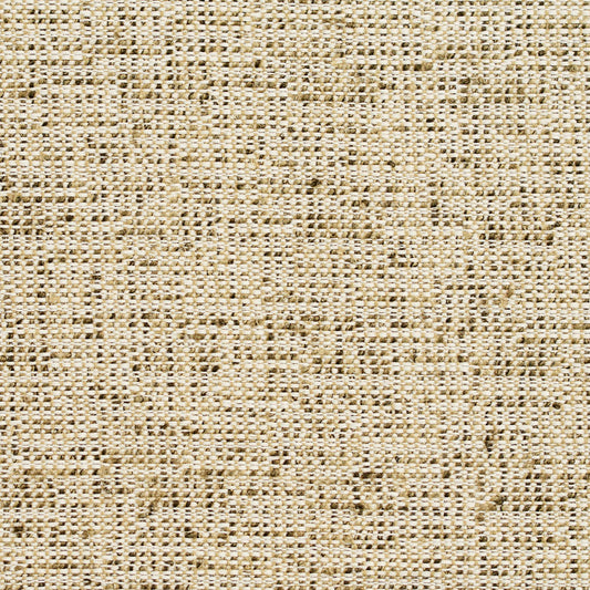 D341 Plain & Solid Spring Green Charlotte Fabrics