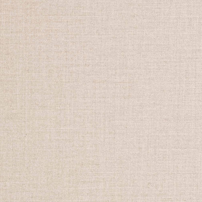 D3422 Plain & Solid Silver Grey & Silver Charlotte Fabrics