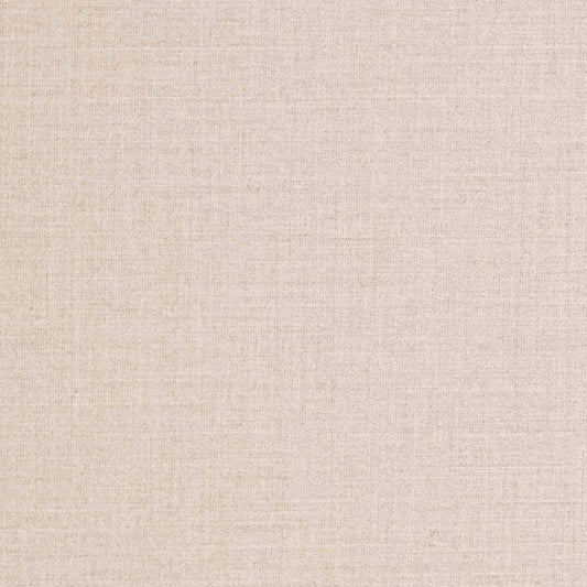 D3422 Plain & Solid Silver Grey & Silver Charlotte Fabrics