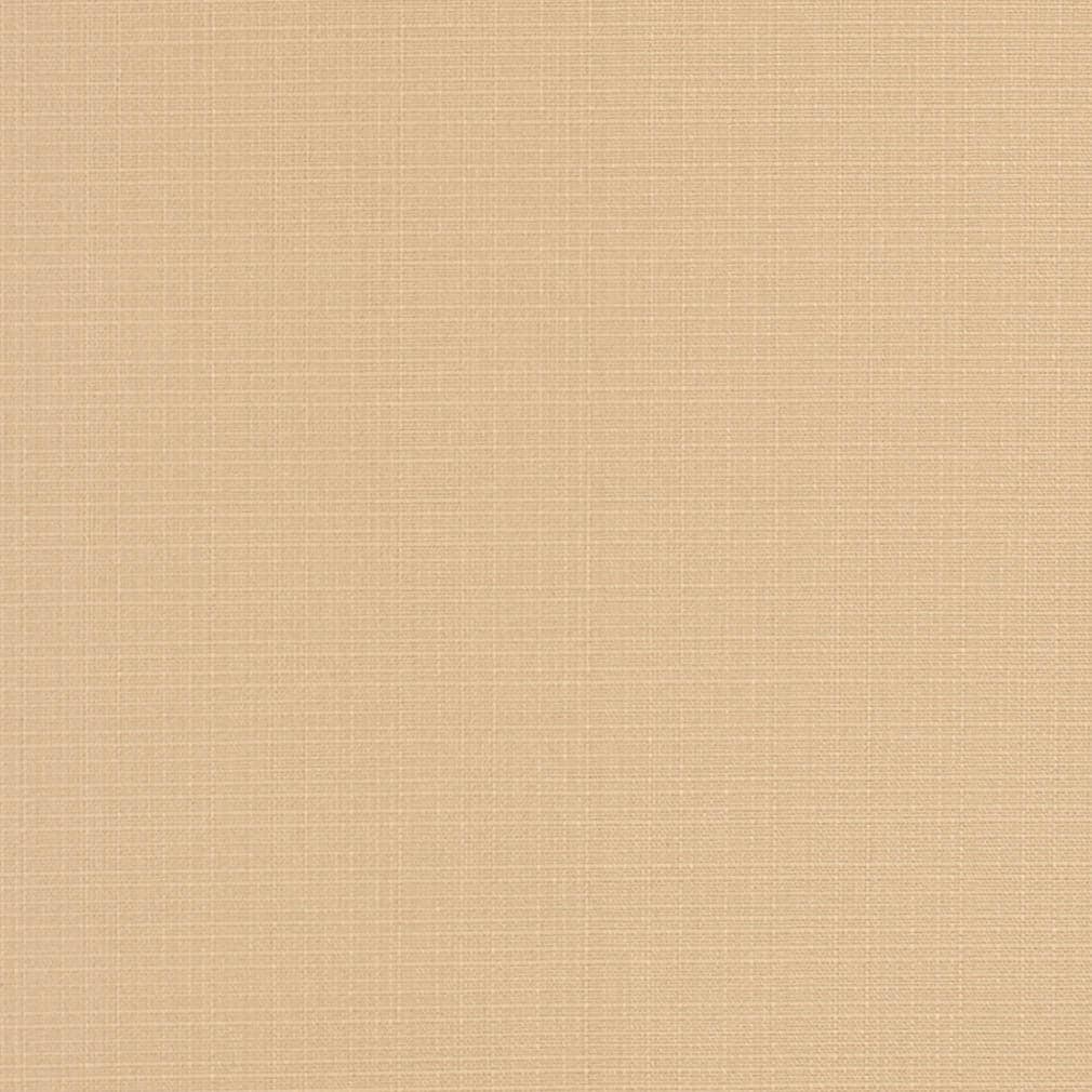 D3424 Plain & Solid Almond Beige & Taupe Charlotte Fabrics