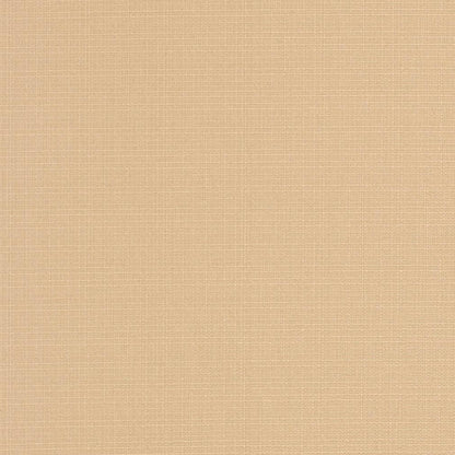 D3424 Plain & Solid Almond Beige & Taupe Charlotte Fabrics