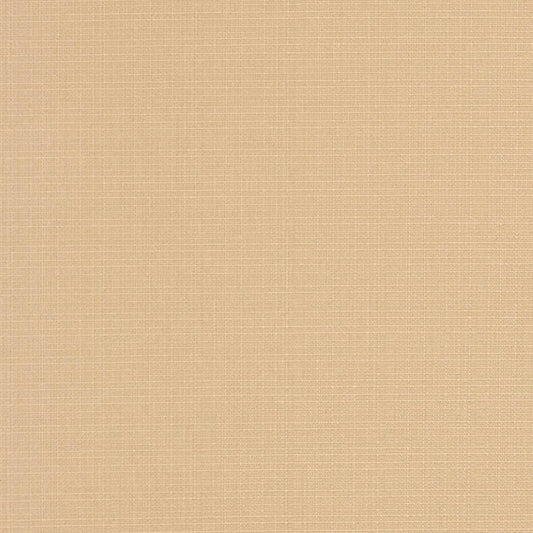 D3424 Plain & Solid Almond Beige & Taupe Charlotte Fabrics