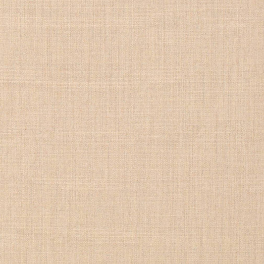 D3428 Plain & Solid Mushroom Beige & Taupe Charlotte Fabrics