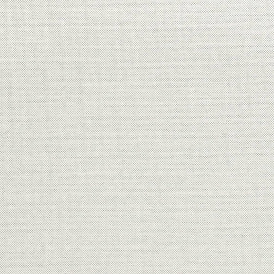 D3431 Plain & Solid Dove Grey & Silver Charlotte Fabrics