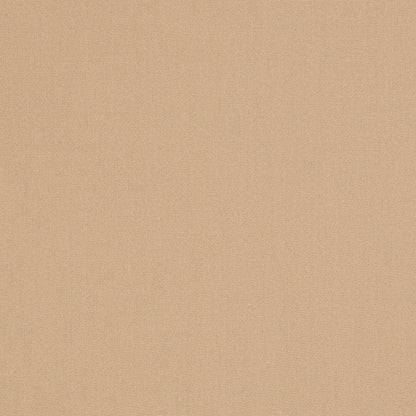 D3436 Plain & Solid Sand Beige & Taupe Charlotte Fabrics