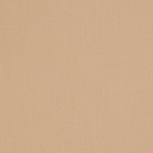 D3436 Plain & Solid Sand Beige & Taupe Charlotte Fabrics