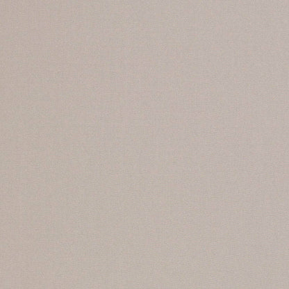 D3438 Plain & Solid Seagull Grey & Silver Charlotte Fabrics