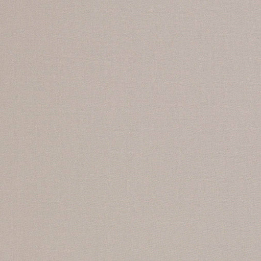 D3438 Plain & Solid Seagull Grey & Silver Charlotte Fabrics