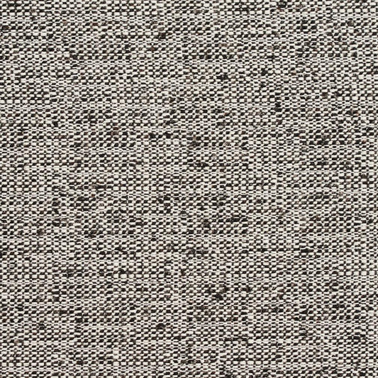 D343 Plain & Solid Raven Black Charlotte Fabrics