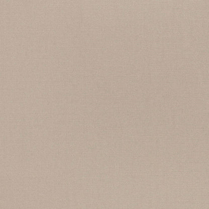 D3442 Plain & Solid Pebble Grey & Silver Charlotte Fabrics