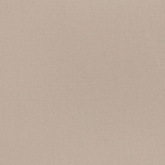 D3442 Plain & Solid Pebble Grey & Silver Charlotte Fabrics