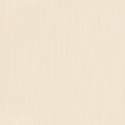 D3450 Plain & Solid Seashell Beige & Taupe,White & Ivory Charlotte Fabrics