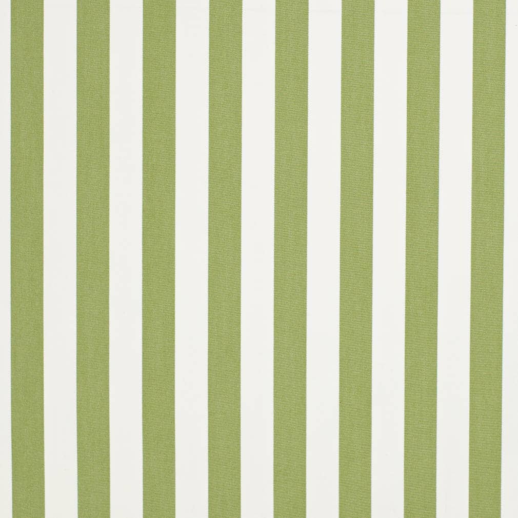 D3470 Stripe Tiki Lime Green Charlotte Fabrics