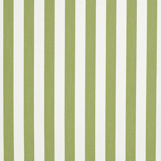 D3470 Stripe Tiki Lime Green Charlotte Fabrics
