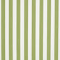 D3470 Stripe Tiki Lime Green Charlotte Fabrics