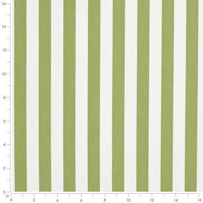 D3470 Stripe Tiki Lime Green Charlotte Fabrics