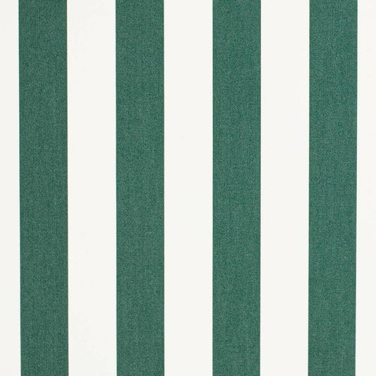 D3482 Stripe Cabana Forest Green Charlotte Fabrics
