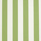 D3485 Stripe Cabana Lime Green Charlotte Fabrics