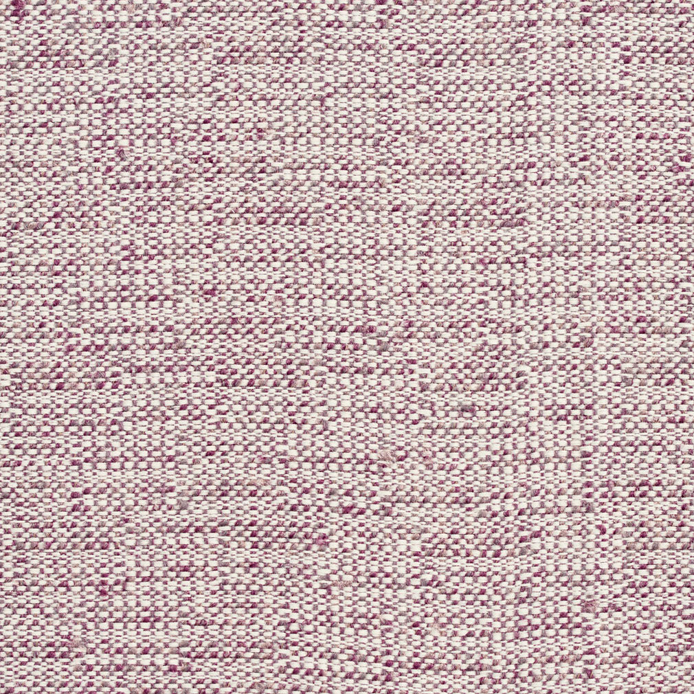 D348 Plain & Solid Iris Purple Charlotte Fabrics
