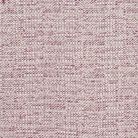 D348 Plain & Solid Iris Purple Charlotte Fabrics