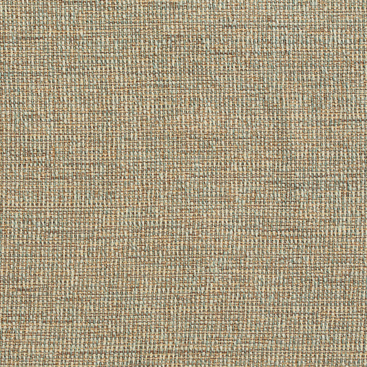D350 Plain & Solid Sage Green Charlotte Fabrics