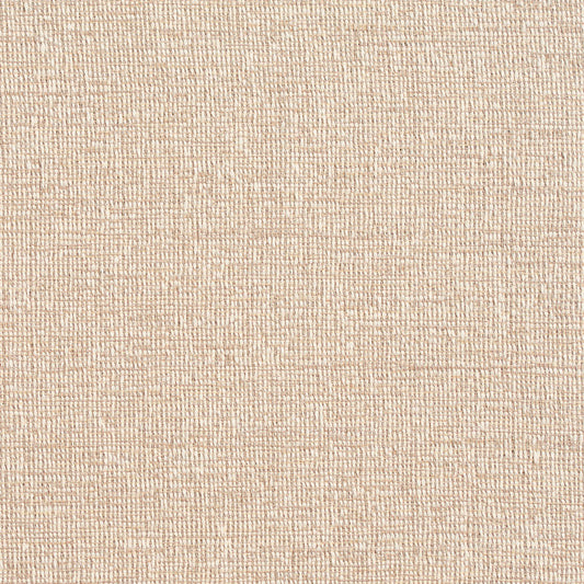 D351 Plain & Solid Dove Beige & Taupe Charlotte Fabrics