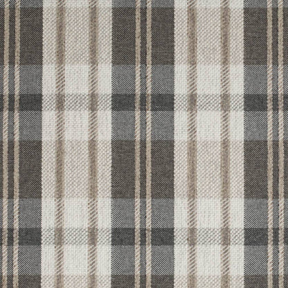 D3538 Plaid Black Black,Brown Charlotte Fabrics