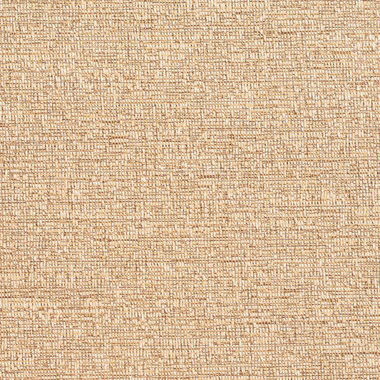 D353 Plain & Solid Fawn Beige & Taupe Charlotte Fabrics