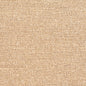 D353 Plain & Solid Fawn Beige & Taupe Charlotte Fabrics