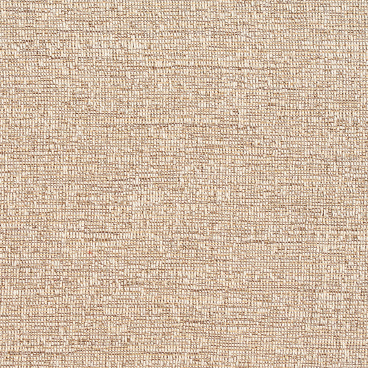 D355 Plain & Solid Birch Beige & Taupe Charlotte Fabrics