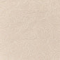 D3583 Paisley Pearl Paisley White & Ivory Charlotte Fabrics