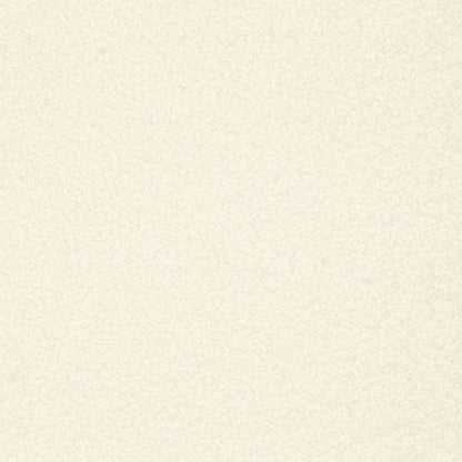 D3613 Plain & Solid Cloud White & Ivory Charlotte Fabrics