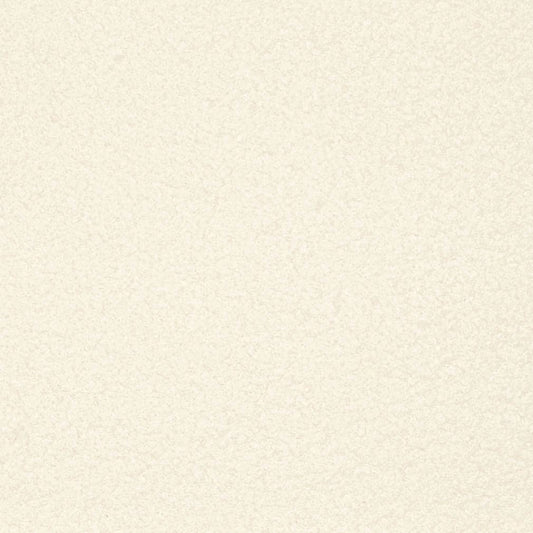 D3613 Plain & Solid Cloud White & Ivory Charlotte Fabrics