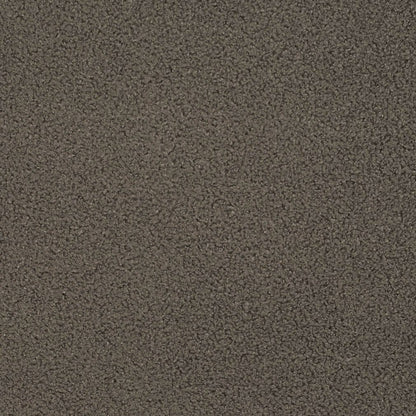 D3614 Plain & Solid Espresso Brown Charlotte Fabrics