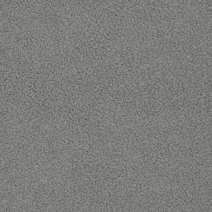 D3615 Plain & Solid Flint Grey & Silver Charlotte Fabrics