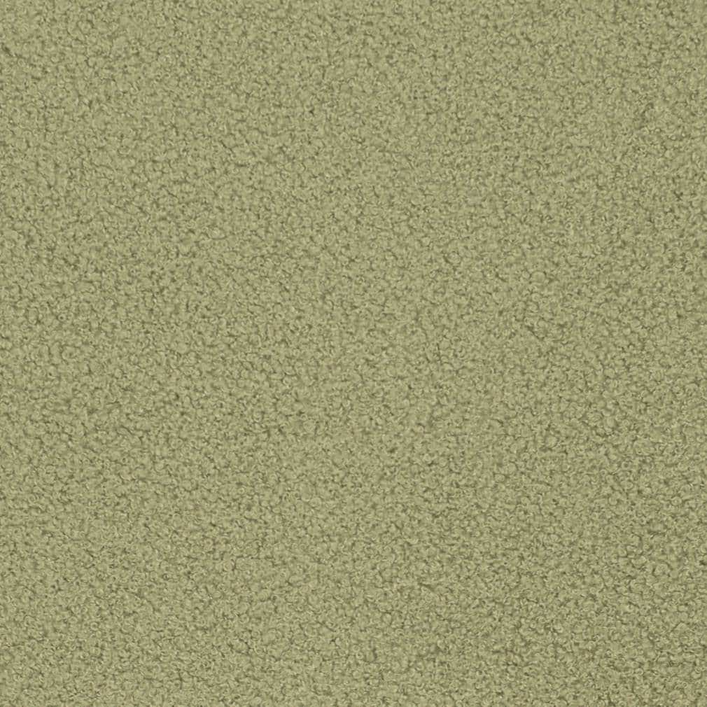 D3620 Plain & Solid Sage Green Charlotte Fabrics