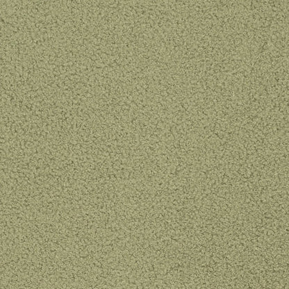 D3620 Plain & Solid Sage Green Charlotte Fabrics