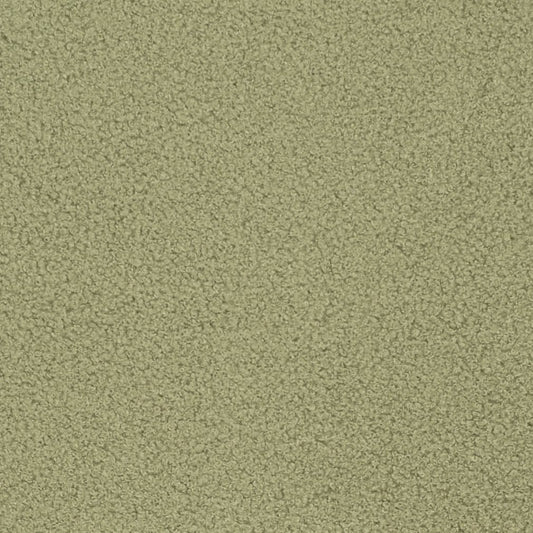 D3620 Plain & Solid Sage Green Charlotte Fabrics