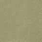 D3620 Plain & Solid Sage Green Charlotte Fabrics