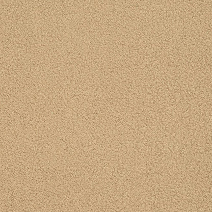 D3623 Plain & Solid Wheat Beige & Taupe Charlotte Fabrics