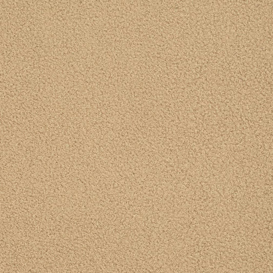 D3623 Plain & Solid Wheat Beige & Taupe Charlotte Fabrics