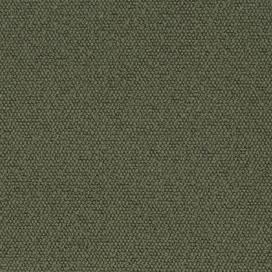 D3628 Plain & Solid Olive Green Charlotte Fabrics